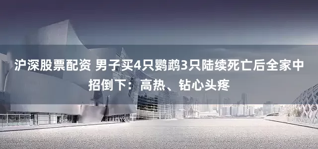沪深股票配资 男子买4只鹦鹉3只陆续死亡后全家中招倒下：高热、钻心头疼