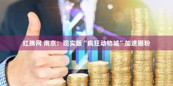 红腾网 南京：现实版“疯狂动物城”加速圈粉
