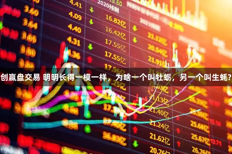 创赢盘交易 明明长得一模一样，为啥一个叫牡蛎，另一个叫生蚝?